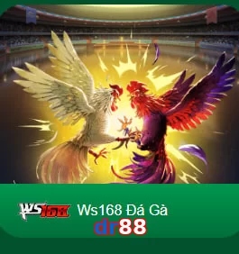 dr88
